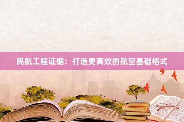 民航工程证据：打造更高效的航空基础格式