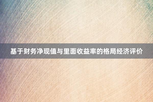 基于财务净现值与里面收益率的格局经济评价